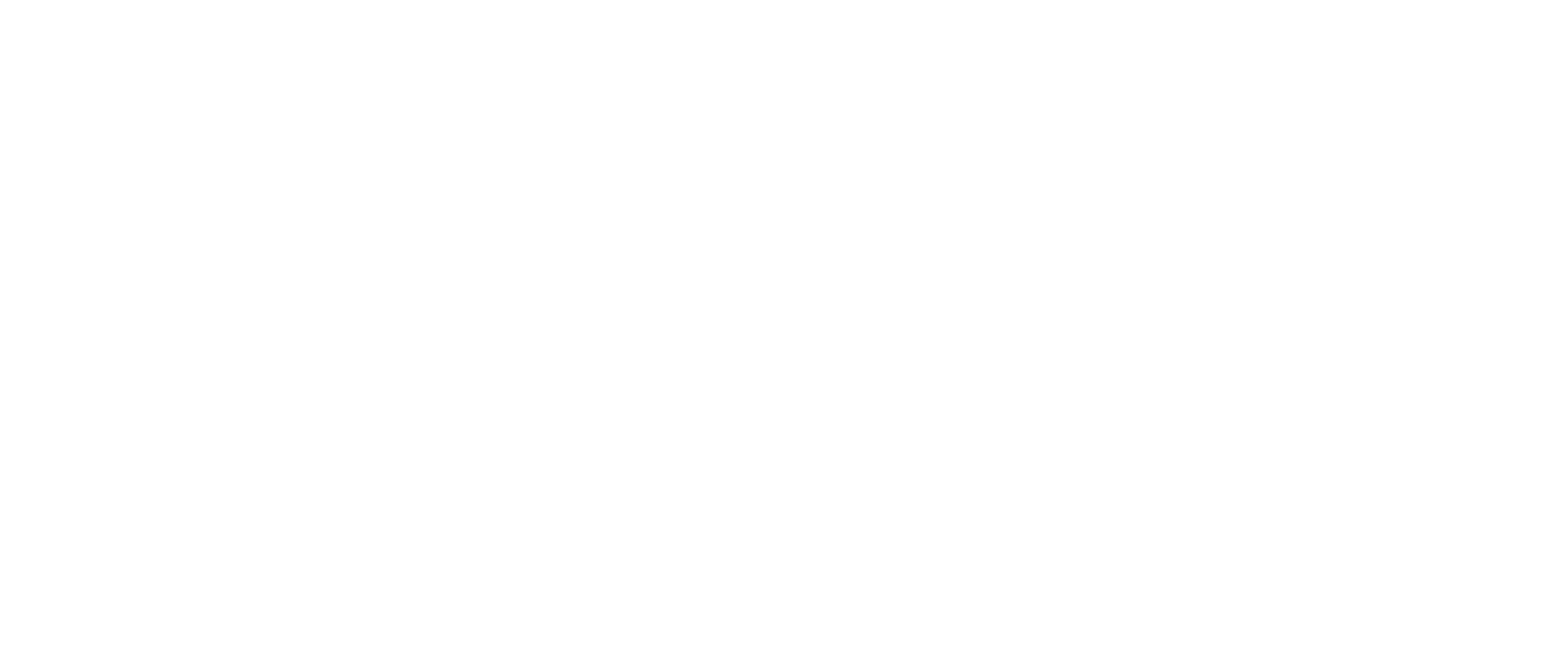 ebrulogo
